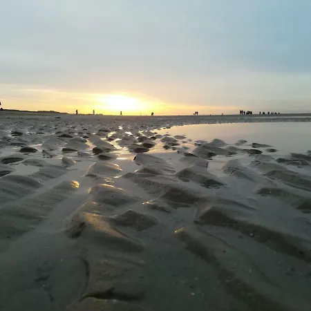 Vakantienestje Casa de Férias Bredene
